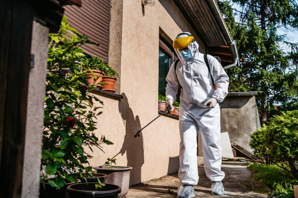 Best Wasp Removal Services  in Pearl Beach, MI