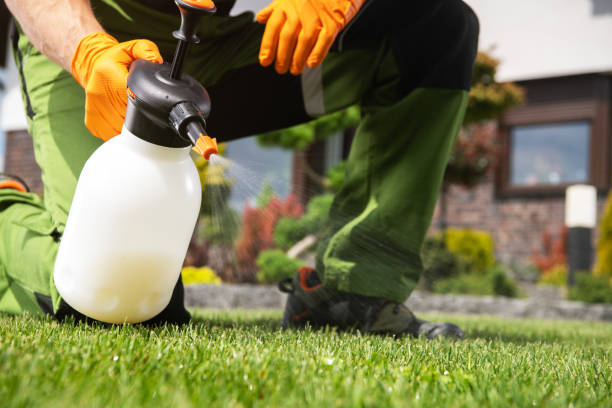 Best Pest Control Near Me in Pearl Beach, MI