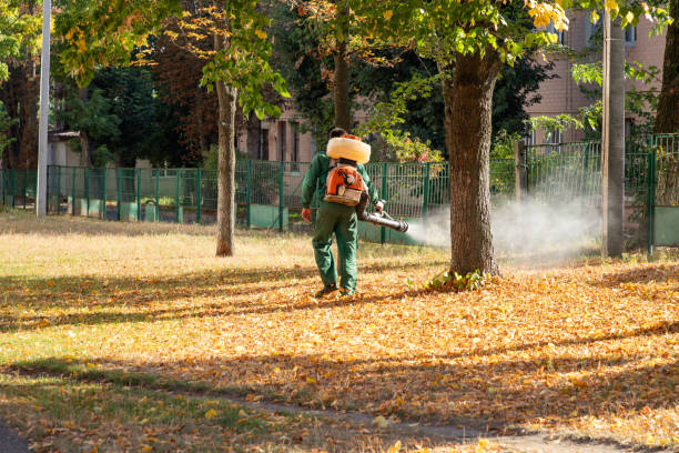 Best Pest Removal Services  in Pearl Beach, MI