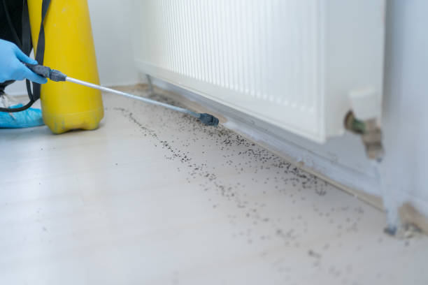 Best Pest Inspection Near Me  in Pearl Beach, MI